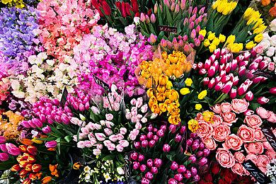 《DOTA2》7.35c平衡性更新发布 冰甲、法师克星削弱